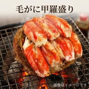 毛がに甲羅盛り 1個・280ｇ/贈答用 プレゼント ギフト  ご馳走 カニ 蟹 毛ガニ オードブル F785