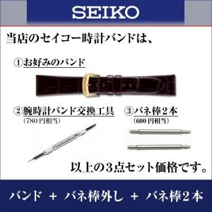 時計ベルト 12mm 腕時計 バンド 交換 セ...の詳細画像2