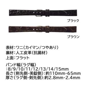 腕時計 ベルト 日本製 ワニ カイマン つや ...の詳細画像1