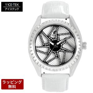 アイステック 腕時計 ICE TEK アイステック時計 メンズ 代引不可 Spinner SWF スピンナー SWF2 SWF2-ST31｜abbeyroad