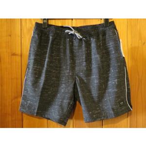 GLOBE（グローブ）　SPENCER 2.0 POOL SHORTS 水陸両用ショーツ　ブラック　...