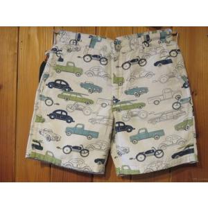 ■サンライトビリーバー（SUNLIGHT BELIEVER)　USA CANVAS SHORTS　R...