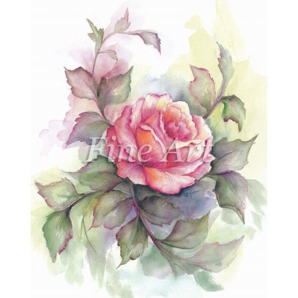 シャドープリント イングリッシュ・ローズ 4×5インチ  FA18-014