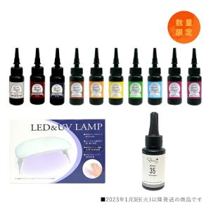 カラーアートレジン10g×10色セット おまけ付き luva-100set