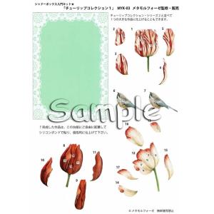 シャドープリント シャドーボックス入門キット チューリップの宴 MYK