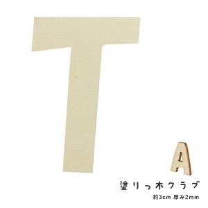 T 切り文字 『カット文字 NAT-8019』 ERUBERU