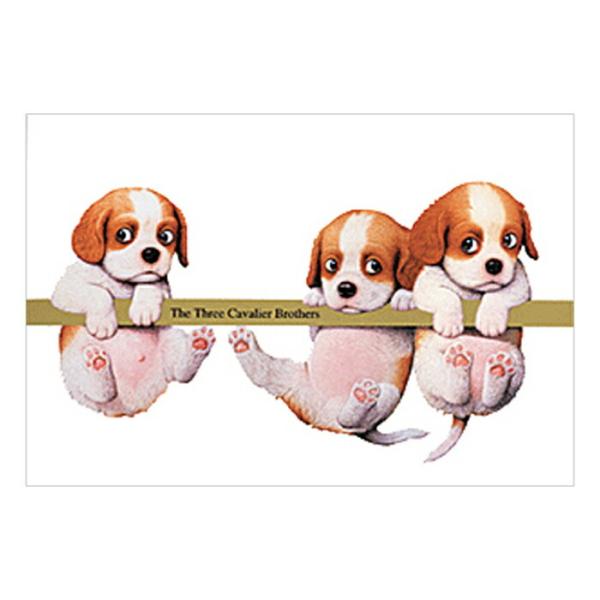 シャドープリント Kunio Sato ポストカード キャバリア３兄弟 メール便/宅配便可 np-3...