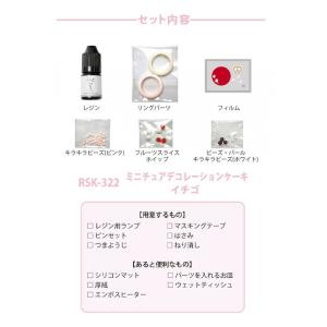 レジンクラフト キット レジンで作る ミニチュ...の詳細画像1