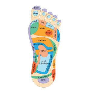 【並行輸入品】Dream Products マ...の詳細画像3