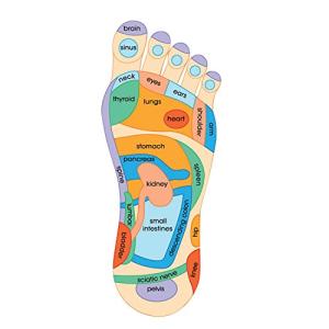 【並行輸入品】Dream Products マ...の詳細画像4