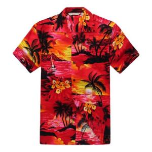 【並行輸入品】[Hawaii Hangover...の詳細画像4