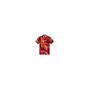 【並行輸入品】[Hawaii Hangover...の詳細画像5