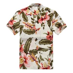 【並行輸入品】[Hawaii Hangover...の詳細画像4