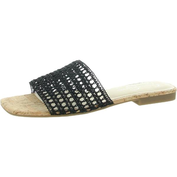 【並行輸入品】Jessica Simpson Women's Rilane Flat Sandal ...