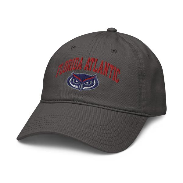 【並行輸入品】Florida Atlantic Owls Arched Logo Officiall...