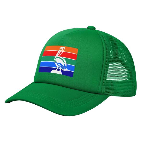 【並行輸入品】Flag of St. Petersburg, Florida Baseball Ca...