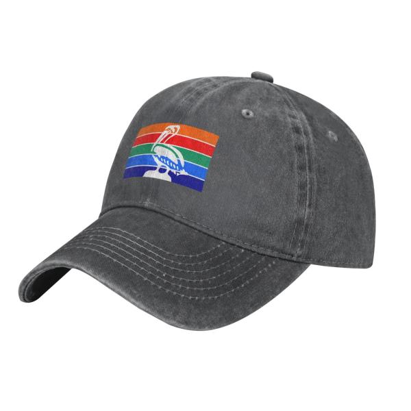 【並行輸入品】Flag of St. Petersburg, Florida Dad Hat Vin...