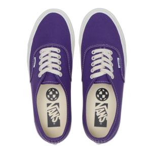 VANS ヴァンズ MTE Authentic...の詳細画像1