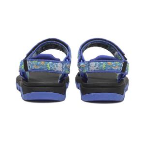 キッズ TEVA テバ 18-22 HURRI...の詳細画像2