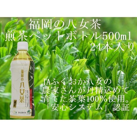 ギフト　お中元　お歳暮　リピート多数　お取り寄せ　ドリンク　「福岡八女茶 煎茶ペットボトル 500ｍ...
