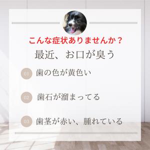 犬 しっかり歯磨き 歯石 歯垢 口臭 予防 マ...の詳細画像4