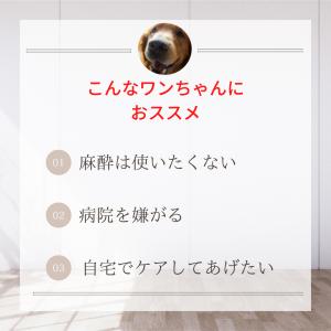 犬 しっかり歯磨き 歯石 歯垢 口臭 予防 マ...の詳細画像5
