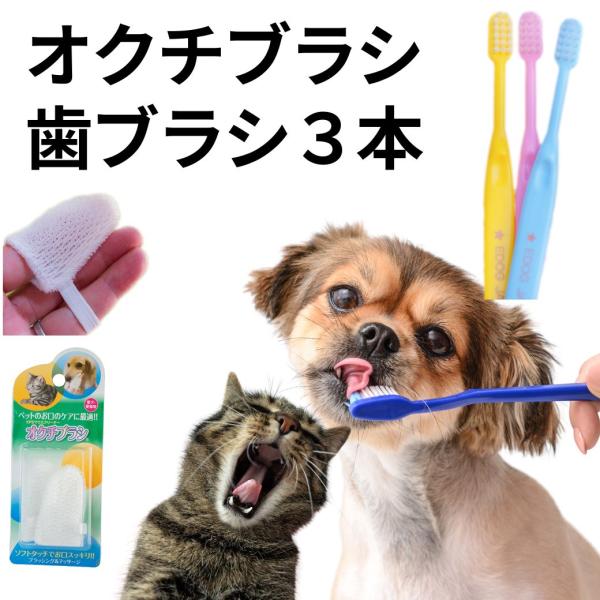 ペット用品 犬 歯ブラシ EDOGJAPAN 歯ブラシ３本 オクチブラシ２本 シグワン