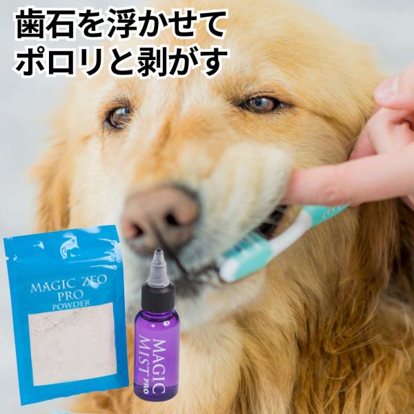 犬 口臭予防 おすすめ