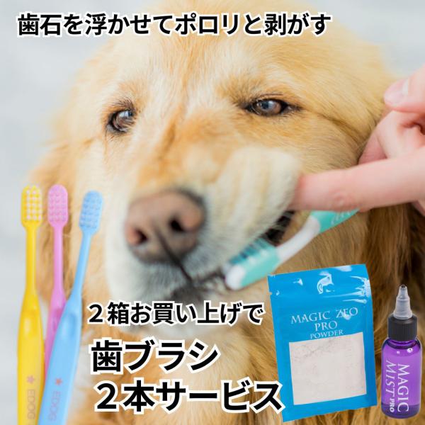犬 歯磨き粉 マジックゼオプロ 2箱セット 歯石ケア 口臭ケア ゼオライト配合 すすぎ不要 歯ブラシ...