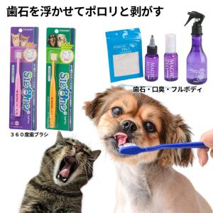 口臭 歯石にリトルラボ ReDenta リデンタ スプレー 50ml 犬 デンタル