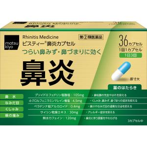 ビスティー鼻炎カプセルの商品画像