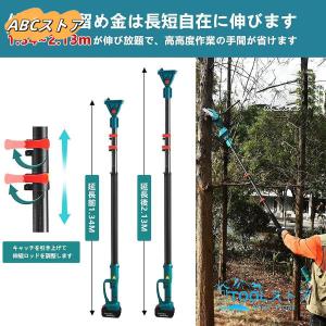 高枝 電動のこぎり チェーンソー 充電式 高枝...の詳細画像5