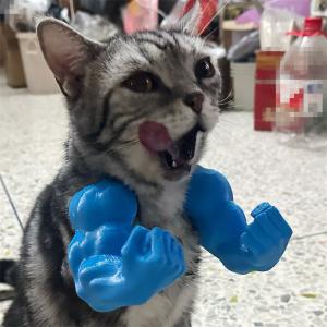 猫の筋肉の腕 ペット コスプレ 猫 筋肉 おも...の詳細画像1