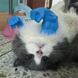 猫の筋肉の腕 ペット コスプレ 猫 筋肉 おも...の詳細画像3