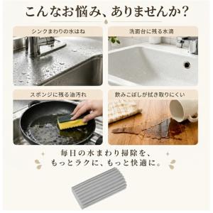 ダンプダスター スポンジ ホコリ取り 掃除用 ...の詳細画像1