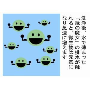 緑の魔女ランドリー5L 3本セット 緑の魔女日...の詳細画像4