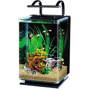 海水魚 オールインワン水槽の商品一覧 通販 Yahoo ショッピング