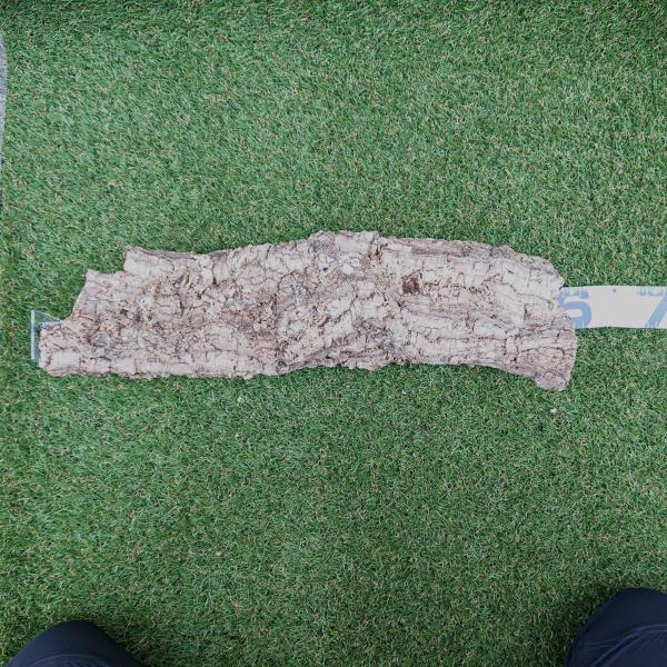 一点物 コルク樹皮 チューブ（筒状） ポルトガル産 天然コルク 全長約60cm 外径約13cm 爬虫...
