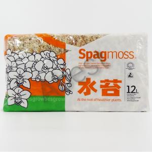 水苔 ニュージーランド産 150g x 2個 ...の詳細画像2