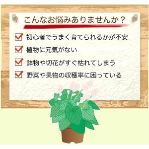 フローラ HB-101 顆粒 1kg 天然植物...の詳細画像4
