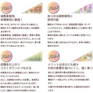 フローラ HB-101 顆粒 1kg 天然植物...の詳細画像5