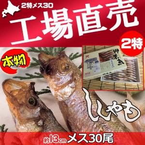 ししゃも シシャモ 北海道産 送料無料 ギフト 本ししゃも 柳葉魚 干物