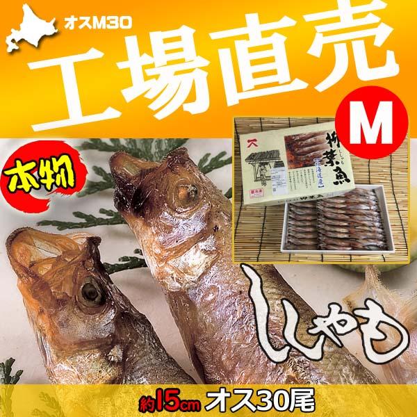 ししゃも シシャモ 北海道産 送料無料 ギフト 本ししゃも 柳葉魚 干物 オス30尾 工場直送 オス...