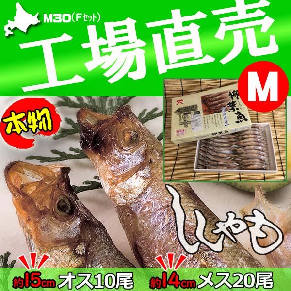 ししゃも シシャモ 北海道産 ギフト 本ししゃも 干物 オス10尾15cm メス20尾14cm 工場...