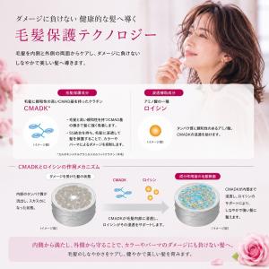 ミルボン オージュア イミュライズ ヘアトリー...の詳細画像2