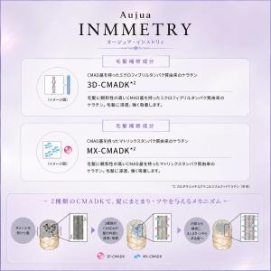 ミルボン オージュア インメトリィ シャンプー...の詳細画像2