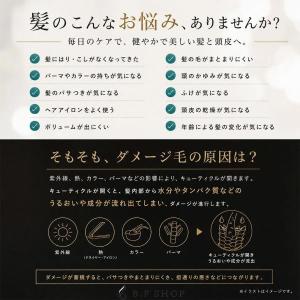 ケアネス テラケア シャンプー 1000ml ...の詳細画像3