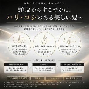 ケアネス テラケア シャンプー 1000ml ...の詳細画像4