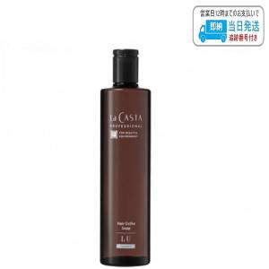 ラカスタ プロフェッショナル ヘアエステ ソープ LU ルーセント 300ml La CASTA PROFESSIONAL LSCの商品画像