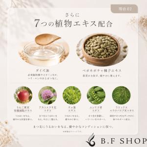 【2本セット】ラッシュアディクト アイラッシュ...の詳細画像5
